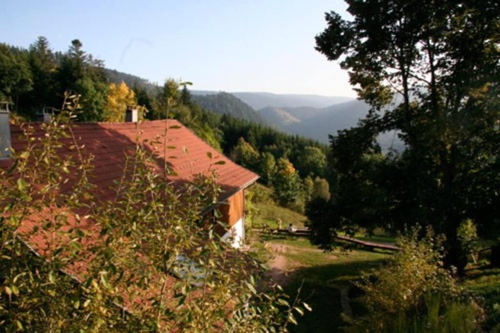 פלאפה Appartement Dans Vielle Ferme Au Coeur Des Vosges מראה חיצוני תמונה