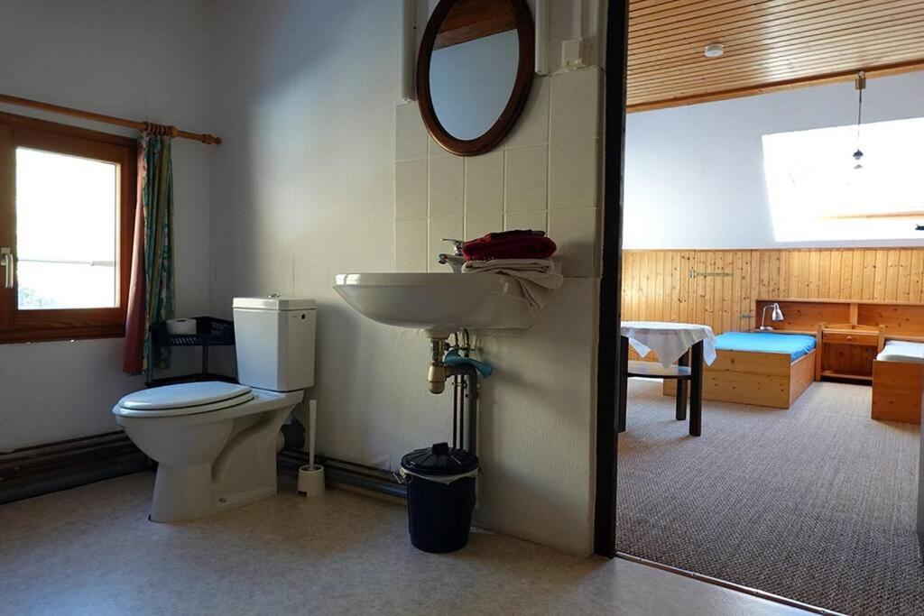 פלאפה Appartement Dans Vielle Ferme Au Coeur Des Vosges מראה חיצוני תמונה