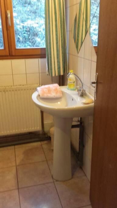 פלאפה Appartement Dans Vielle Ferme Au Coeur Des Vosges מראה חיצוני תמונה