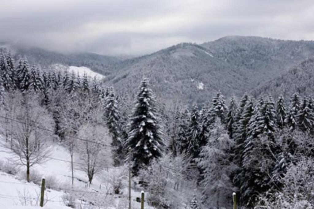 פלאפה Appartement Dans Vielle Ferme Au Coeur Des Vosges מראה חיצוני תמונה