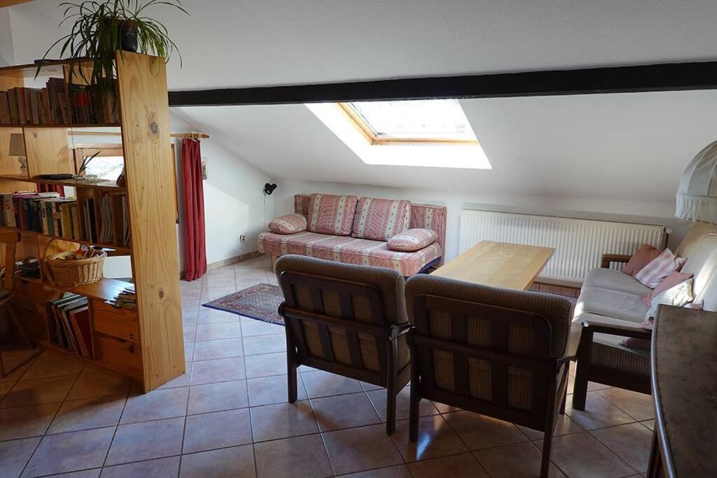 פלאפה Appartement Dans Vielle Ferme Au Coeur Des Vosges מראה חיצוני תמונה
