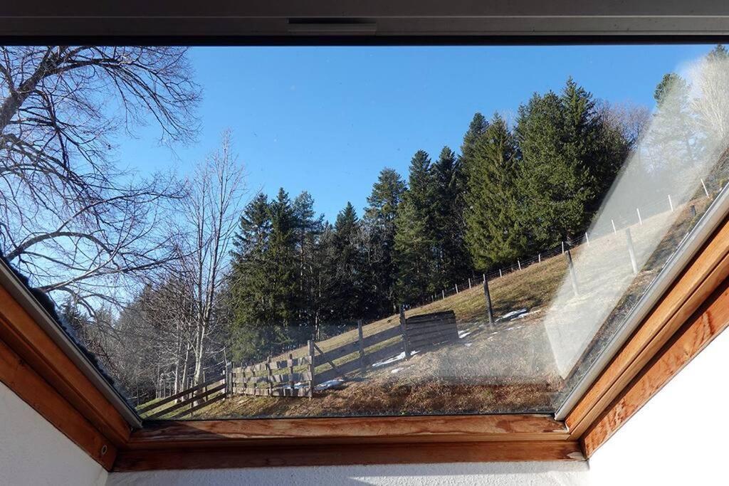 פלאפה Appartement Dans Vielle Ferme Au Coeur Des Vosges מראה חיצוני תמונה