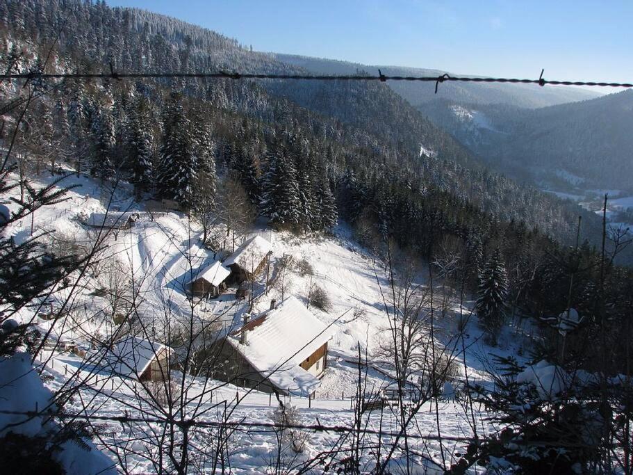 פלאפה Appartement Dans Vielle Ferme Au Coeur Des Vosges מראה חיצוני תמונה