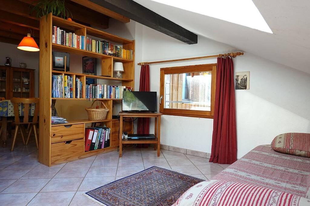 פלאפה Appartement Dans Vielle Ferme Au Coeur Des Vosges מראה חיצוני תמונה