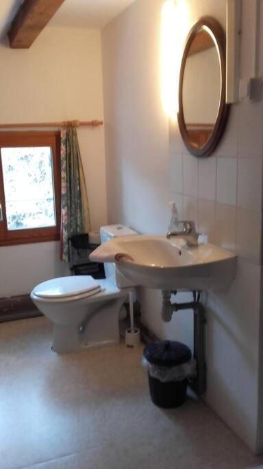 פלאפה Appartement Dans Vielle Ferme Au Coeur Des Vosges מראה חיצוני תמונה