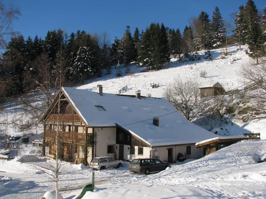 פלאפה Appartement Dans Vielle Ferme Au Coeur Des Vosges מראה חיצוני תמונה