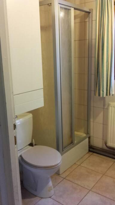 פלאפה Appartement Dans Vielle Ferme Au Coeur Des Vosges מראה חיצוני תמונה